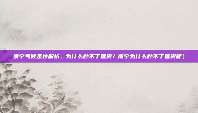 南宁气候条件解析，为什么种不了莲雾？南宁为什么种不了莲雾呢）