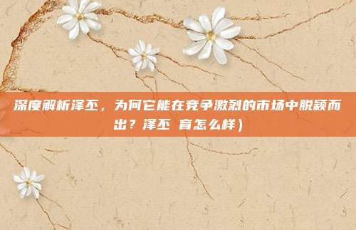 深度解析泽丕,为何它能在竞争激烈的市场中脱颖而出?泽丕敎育怎么样)