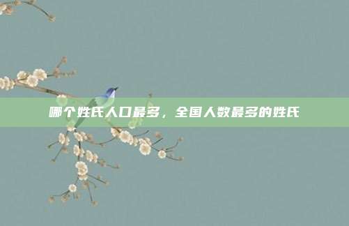 哪个姓氏人口最多，全国人数最多的姓氏