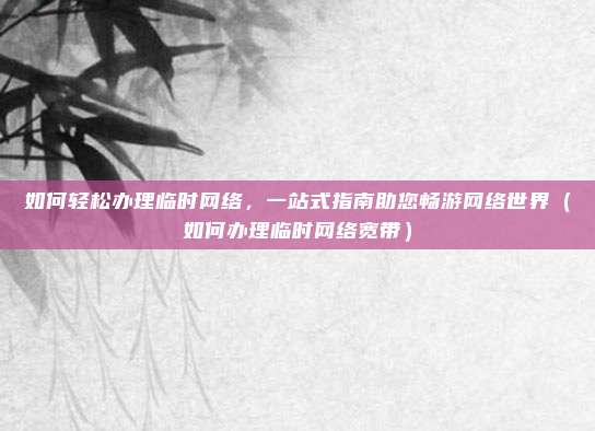 如何轻松办理临时网络，一站式指南助您畅游网络世界（如何办理临时网络宽带）