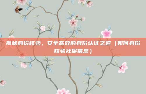 揭秘身份核验,安全高效的身份认证之道(如何身份核验社保信息)