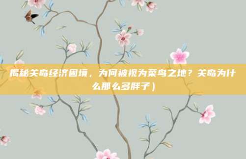 揭秘关岛经济困境,为何被视为菜鸟之地?关岛为什么那么多胖子)