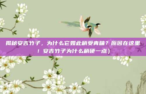 揭秘安吉竹子,为什么它如此稍受青睐?原因在这里!安吉竹子为什么稍硬一点)