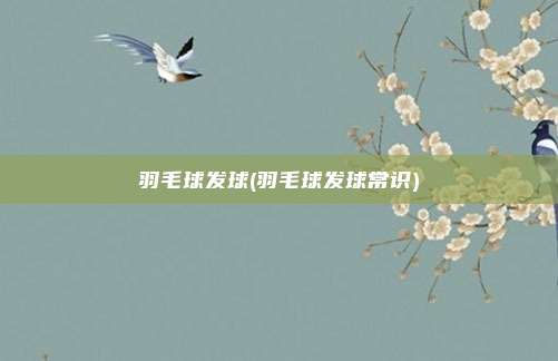 羽毛球发球(羽毛球发球常识)