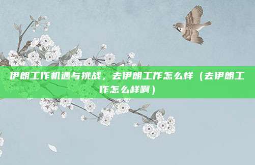 伊朗工作机遇与挑战,去伊朗工作怎么样(去伊朗工作怎么样啊)