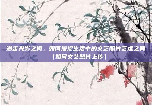 漫步光影之间，如何捕捉生活中的文艺照片艺术之美（如何文艺照片上传）