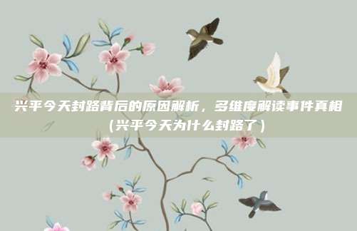 兴平今天封路背后的原因解析,多维度解读事件真相(兴平今天为什么封路了)