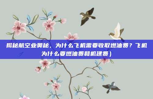 揭秘航空业奥秘,为什么飞机需要收取燃油费?飞机为什么要燃油费和机建费)