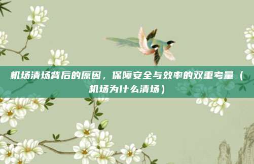 机场清场背后的原因,保障安全与效率的双重考量(机场为什么清场)