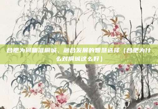 合肥为何瞄准桐城,融合发展的智慧选择(合肥为什么对桐城这么好)