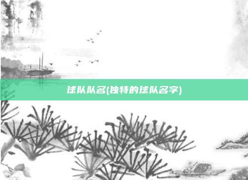 球队队名(独特的球队名字)