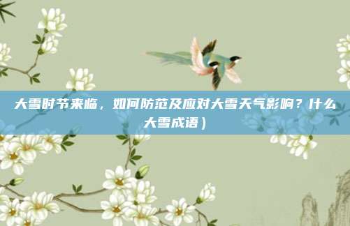 大雪时节来临,如何防范及应对大雪天气影响?什么大雪成语)