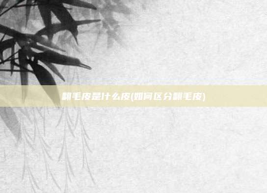 翻毛皮是什么皮(如何区分翻毛皮)