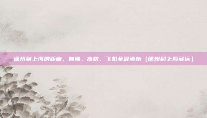 德州到上海的距离,自驾、高铁、飞机全程解析(德州到上海多远)