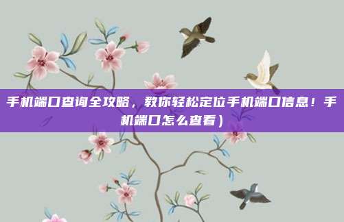 手机端口查询全攻略,教你轻松定位手机端口信息!手机端口怎么查看)