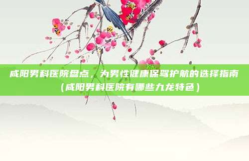 咸阳男科医院盘点,为男性健康保驾护航的选择指南(咸阳男科医院有哪些九龙特色)