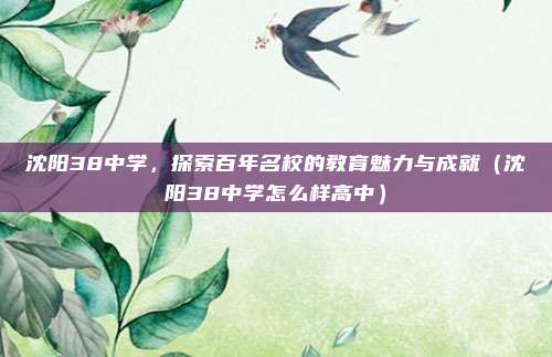 沈阳38中学,探索百年名校的教育魅力与成就(沈阳38中学怎么样高中)