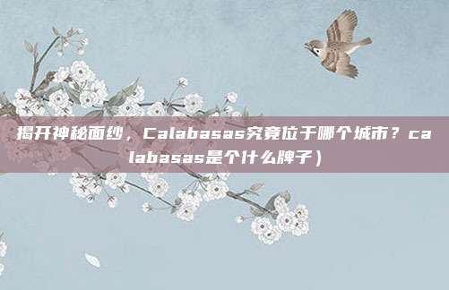 揭开神秘面纱,Calabasas究竟位于哪个城市?calabasas是个什么牌子)