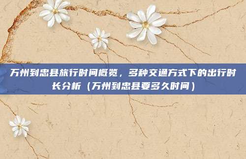 万州到忠县旅行时间概览,多种交通方式下的出行时长分析(万州到忠县要多久时间)