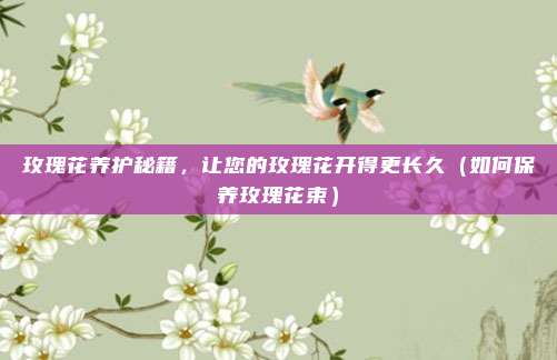玫瑰花养护秘籍,让您的玫瑰花开得更长久(如何保养玫瑰花束)