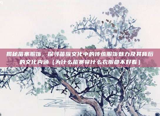 揭秘苗寨服饰,探寻苗族文化中的传统服饰魅力及其背后的文化内涵(为什么苗寨穿什么衣服都不好看)