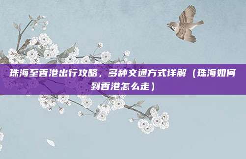 珠海至香港出行攻略,多种交通方式详解(珠海如何到香港怎么走)