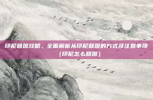印尼回国攻略,全面解析从印尼回国的方式及注意事项(印尼怎么回国)