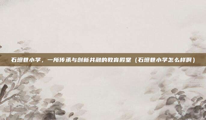 石坦巷小学,一所传承与创新共融的教育殿堂(石坦巷小学怎么样啊)