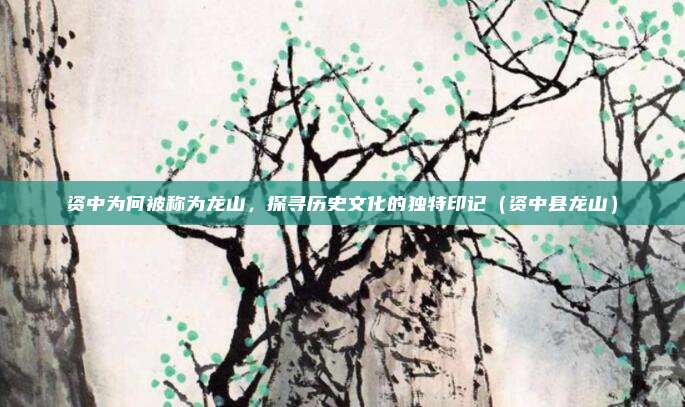 资中为何被称为龙山,探寻历史文化的独特印记(资中县龙山)