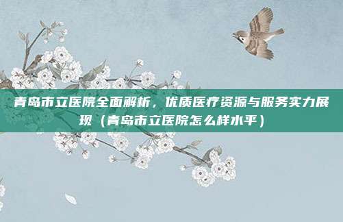 青岛市立医院全面解析,优质医疗资源与服务实力展现(青岛市立医院怎么样水平)