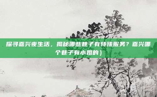 探寻嘉兴夜生活,揭秘哪些巷子有特殊服务?嘉兴哪个巷子有小姐的)