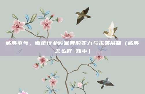 威胜电气,解析行业领军者的实力与未来展望(威胜怎么样 知乎)