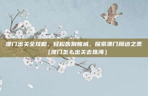 澳门出关全攻略,轻松告别赌城,探索澳门周边之美(澳门怎么出关去珠海)