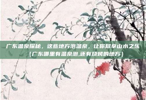 广东温泉探秘,这些地方泡温泉,让你尽享山水之乐(广东哪里有温泉泡,还有烧烤的地方)