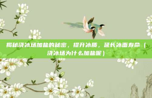 揭秘浇冰场加盐的秘密,提升冰质,延长冰面寿命(浇冰场为什么加盐呢)