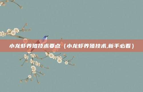 小龙虾养殖技术要点（小龙虾养殖技术,新手必看）