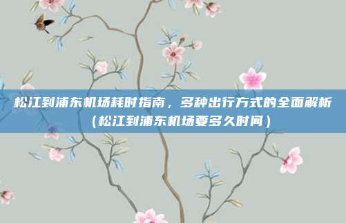 松江到浦东机场耗时指南,多种出行方式的全面解析(松江到浦东机场要多久时间)