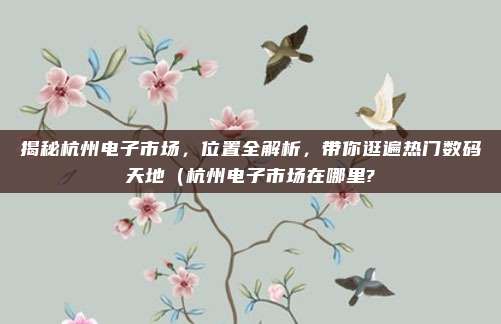 揭秘杭州电子市场,位置全解析,带你逛遍热门数码天地(杭州电子市场在哪里?
