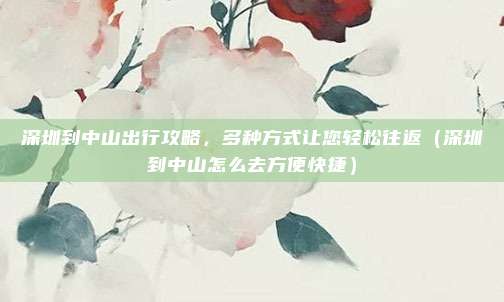 深圳到中山出行攻略,多种方式让您轻松往返(深圳到中山怎么去方便快捷)