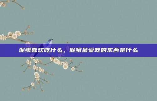 泥鳅喜欢吃什么，泥鳅最爱吃的东西是什么