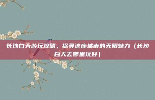 长沙白天游玩攻略,探寻这座城市的无限魅力(长沙白天去哪里玩好)