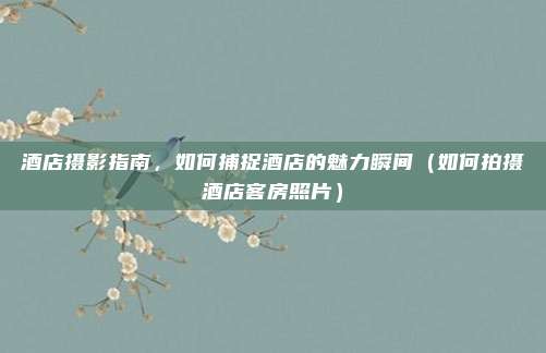 酒店摄影指南,如何捕捉酒店的魅力瞬间(如何拍摄酒店客房照片)