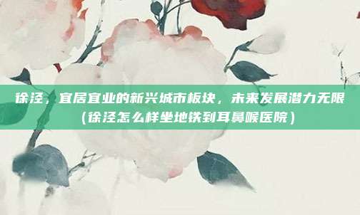 徐泾,宜居宜业的新兴城市板块,未来发展潜力无限(徐泾怎么样坐地铁到耳鼻喉医院)