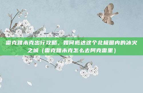 雷克雅未克出行攻略,如何抵达这个北极圈内的冰火之城(雷克雅未克怎么去阿克雷里)