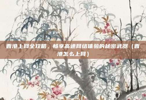 香港上网全攻略,畅享高速网络体验的秘密武器(香港怎么上网)
