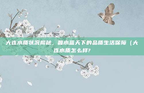 大连水质状况揭秘,碧水蓝天下的品质生活保障(大连水质怎么样?