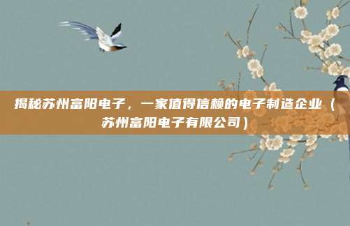 揭秘苏州富阳电子,一家值得信赖的电子制造企业(苏州富阳电子有限公司)