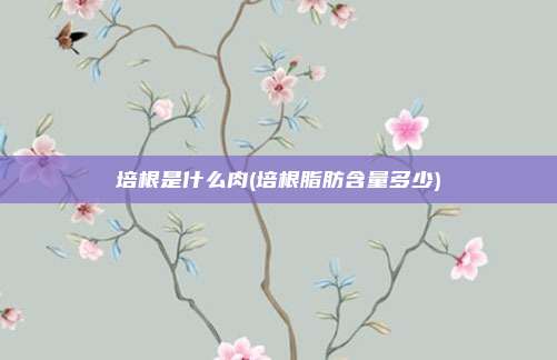培根是什么肉(培根脂肪含量多少)