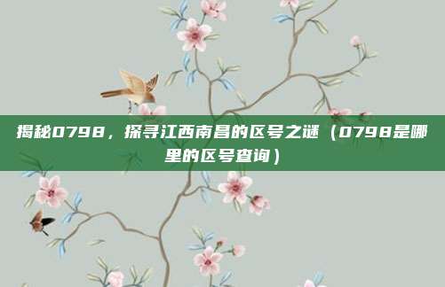 揭秘0798,探寻江西南昌的区号之谜(0798是哪里的区号查询)
