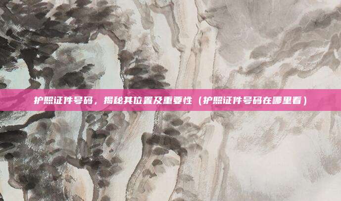 护照证件号码,揭秘其位置及重要性(护照证件号码在哪里看)